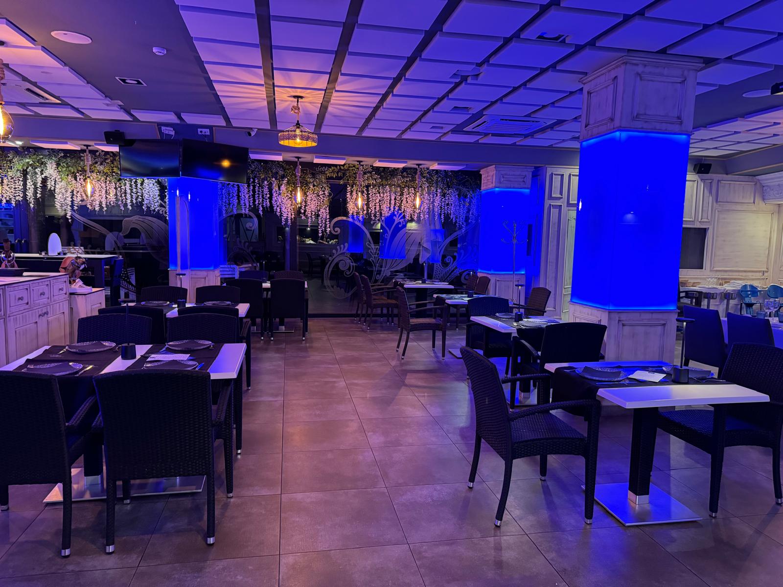 canela%20fina%20%283%29