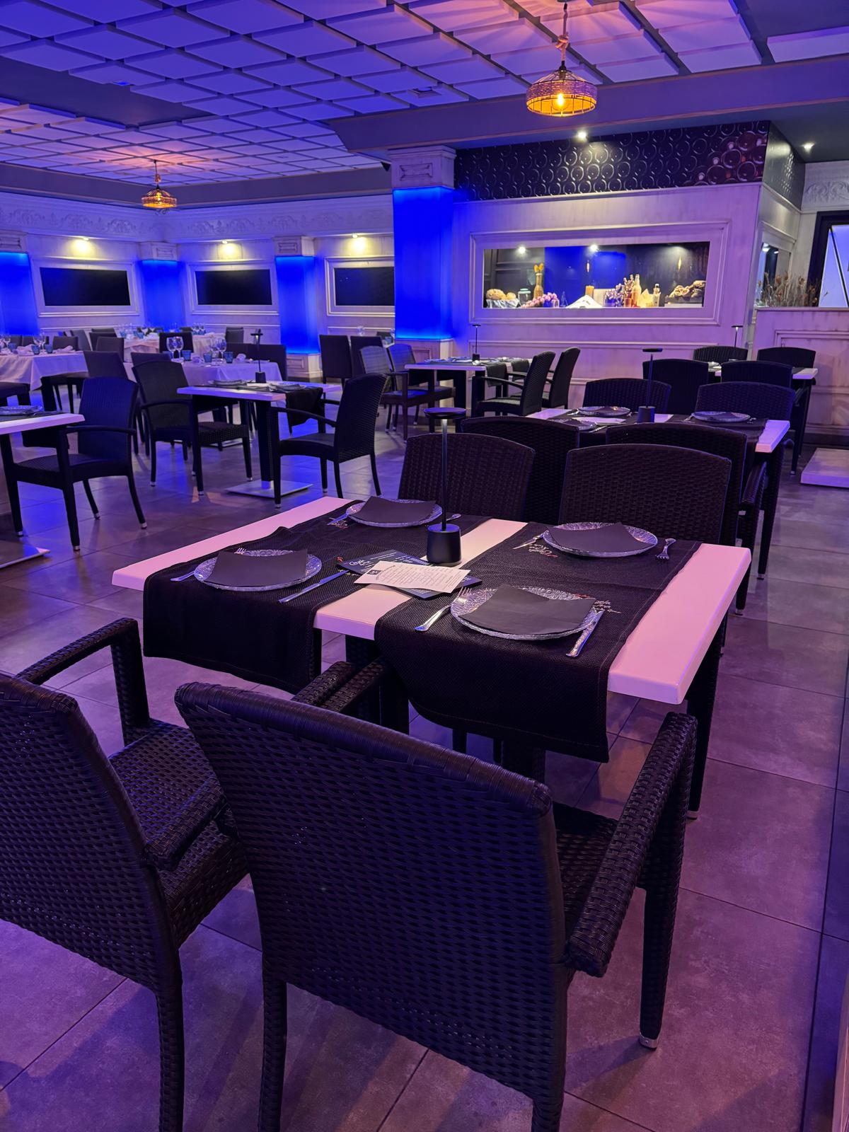 canela%20fina%20%284%29