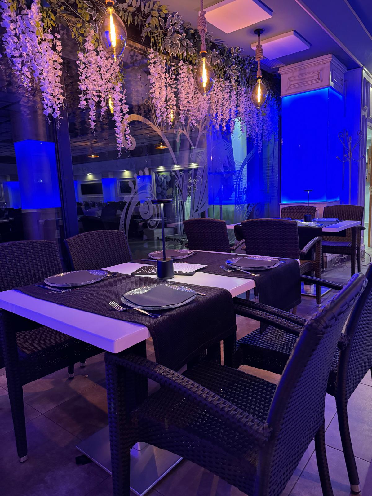 canela%20fina%20%285%29